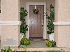 Pumpkins from our vine.