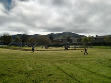 field maintenance