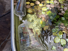galvanized tub