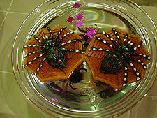 Floating spider candles.