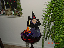 Nice witch and scaredy cat