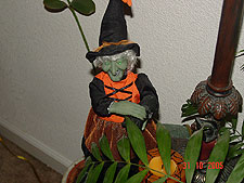 Talking witch with black cat.