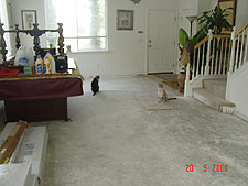 Allie and Lily want to know where the carpet went...