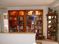 New bookshelves in hallway.