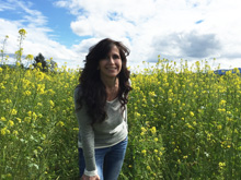 mustard fields