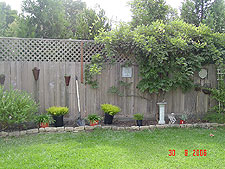 Laying out the new plants.