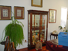 Starting to fill up the new cabinet.