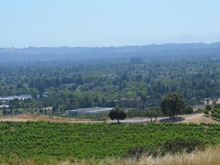 Paradise Ridge Winery