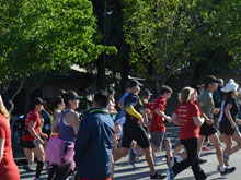Petaluma Footrace