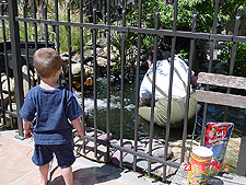Hunter watching