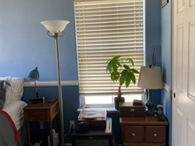 Ryder's room update
