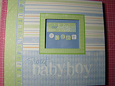 New scrapbook for Ryder.