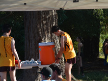 XC
