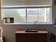 solar blinds