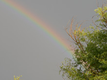 rainbow