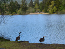 Spring Lake