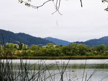 Spring Lake