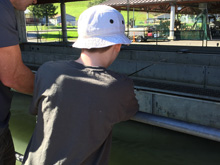 Steelhead Festival