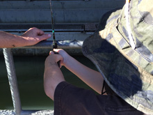 Steelhead Festival