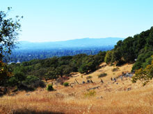 Taylor Mountain