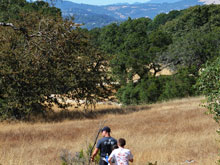 Taylor Mountain