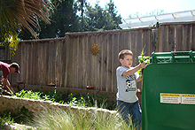 Weeding the garden area.