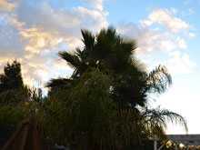 pretty evening skies from the back yard