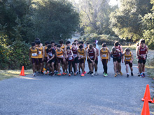 XC