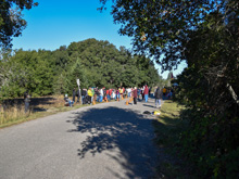 XC