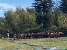 XC