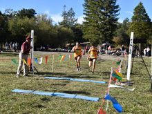 XC
