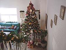 Our enormous tree!